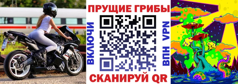 Псилоцибиновые грибы мицелий  где можно купить   Бологое 